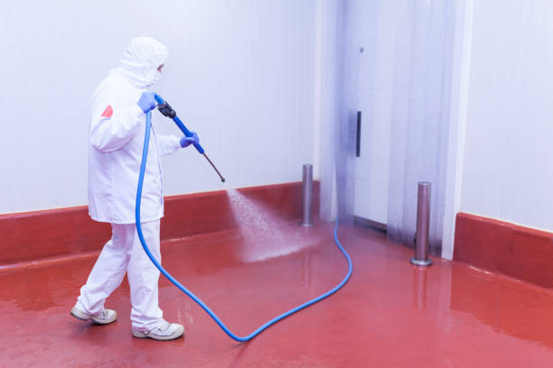 Professional Pressure Washing Services in Rio Pinar, FL
